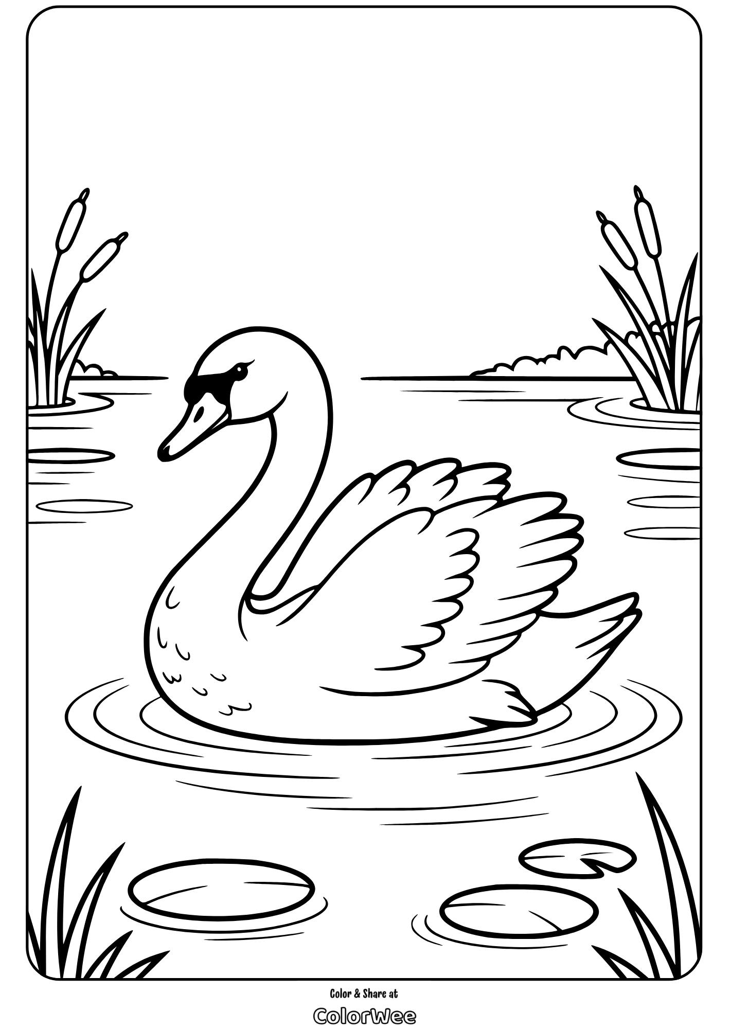 Swan in a pond coloring page with lily pads and cattails.