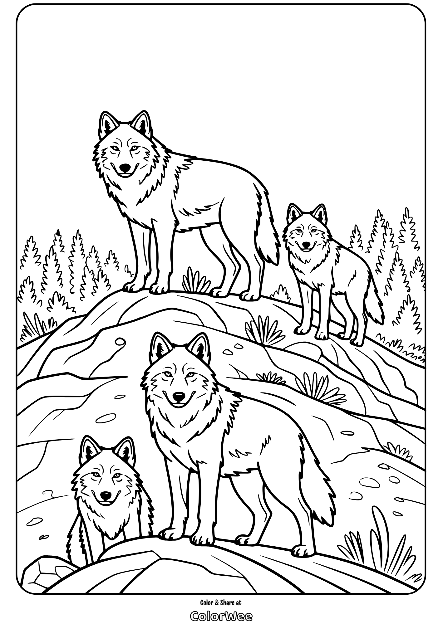 Four wolves standing on a rocky hill, coloring page for kids.