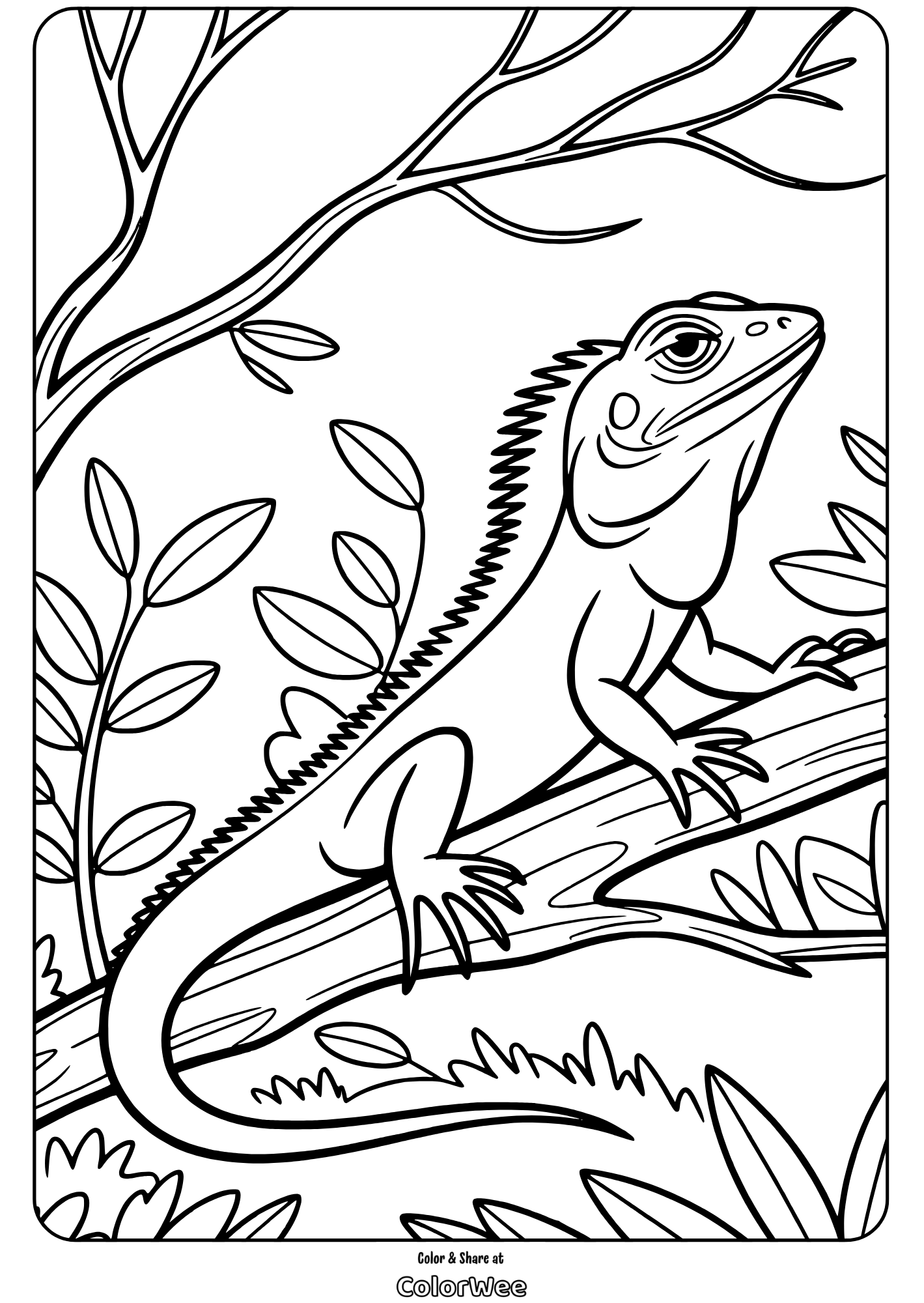 Lizard coloring page: iguana perched on a tree branch.