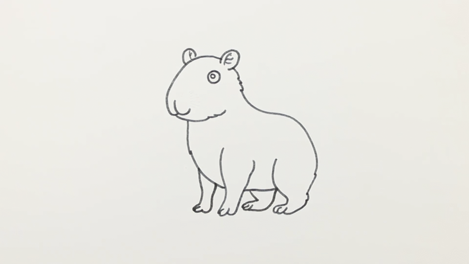 How To Draw A Cute Capybara Easy Step By Step Tutorial 