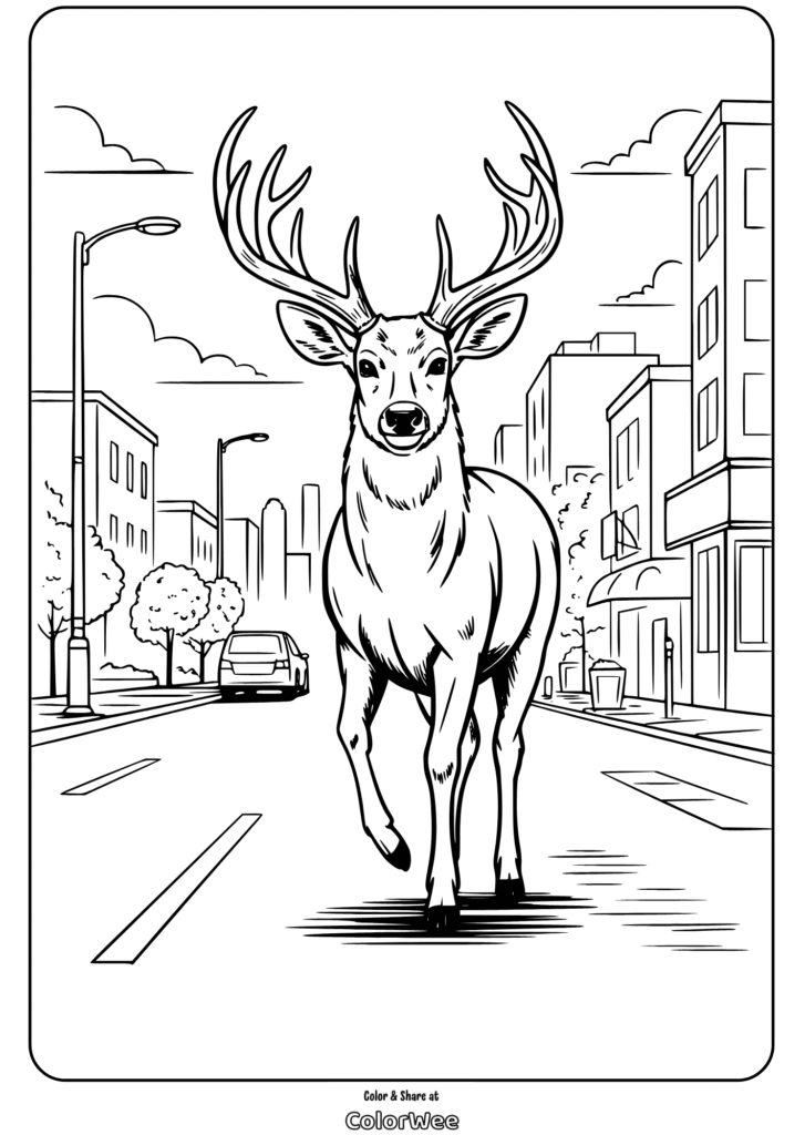 Coloring page of a deer walking in a city street setting.