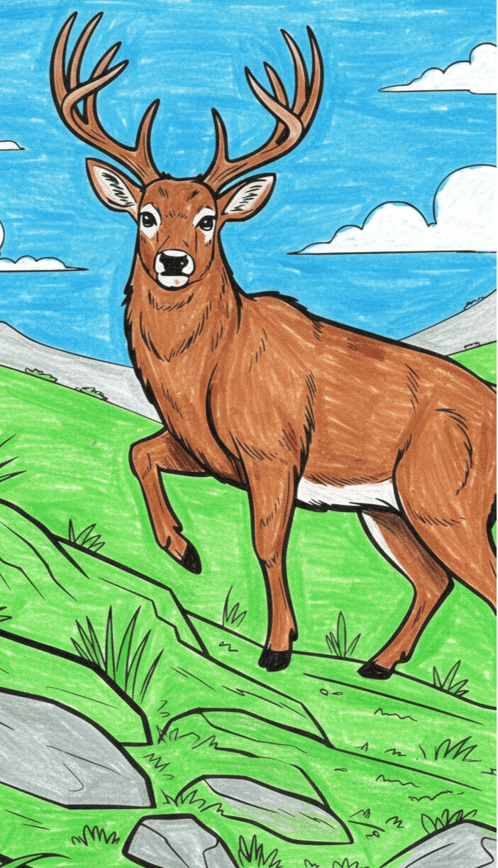 Deer coloring page in a meadow with blue sky and green grass.