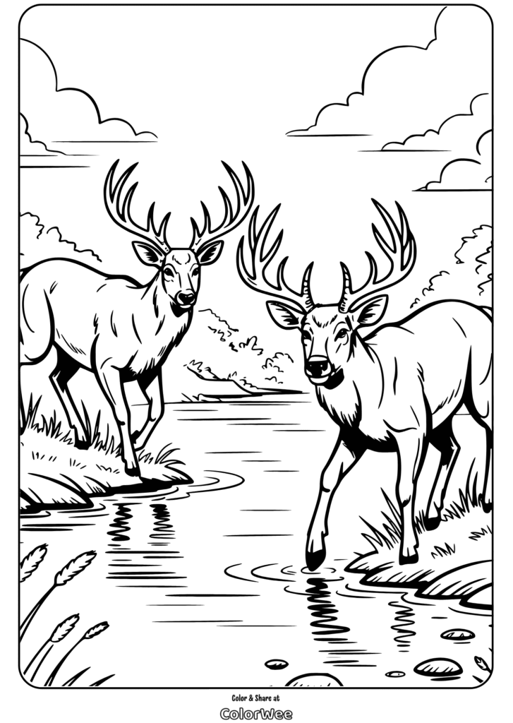 Deer by a stream coloring page for kids.