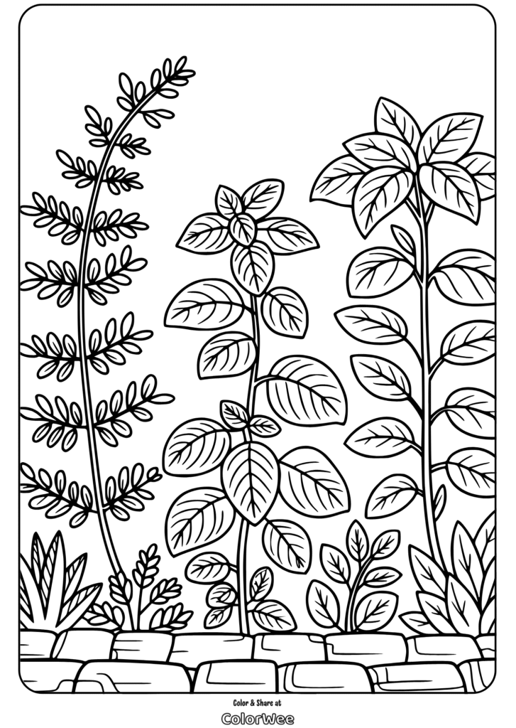 herb and foliage designs front yard coloring page Coloring page with outlined garden plants and leaves.