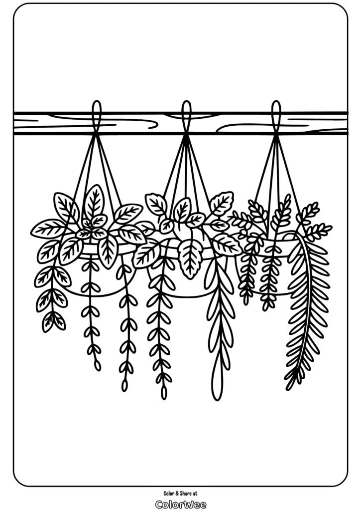 herb and foliage designs hanging baskets coloring page Hanging plants coloring page with intricate leafy designs.