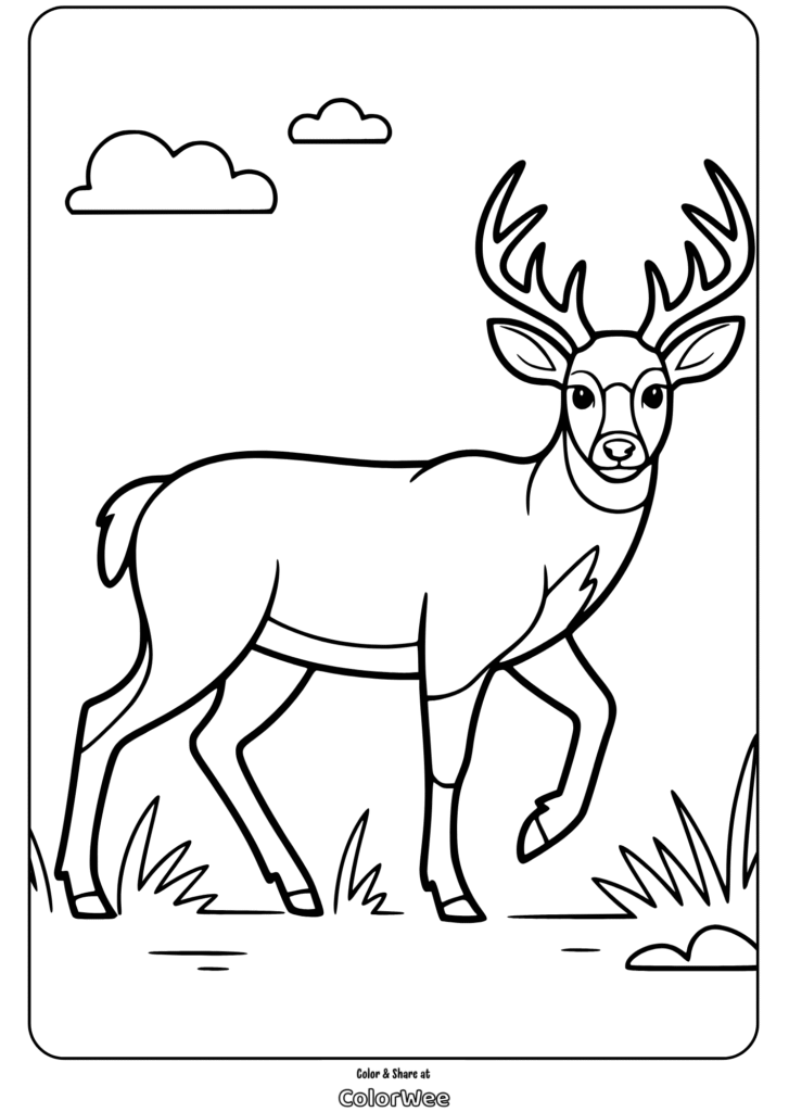 Deer coloring page with clouds and grass, perfect for kids.
