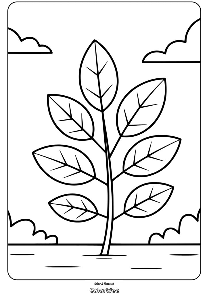 leaves and branches big leaves coloring page Coloring page of a tree with large leaves and clouds.