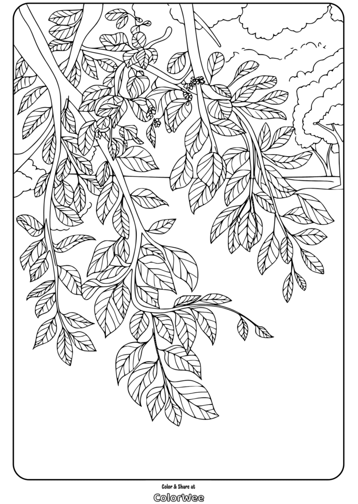 leaves and branches broad canopy coloring page 1 Tree branches and leaves coloring page for kids and adults