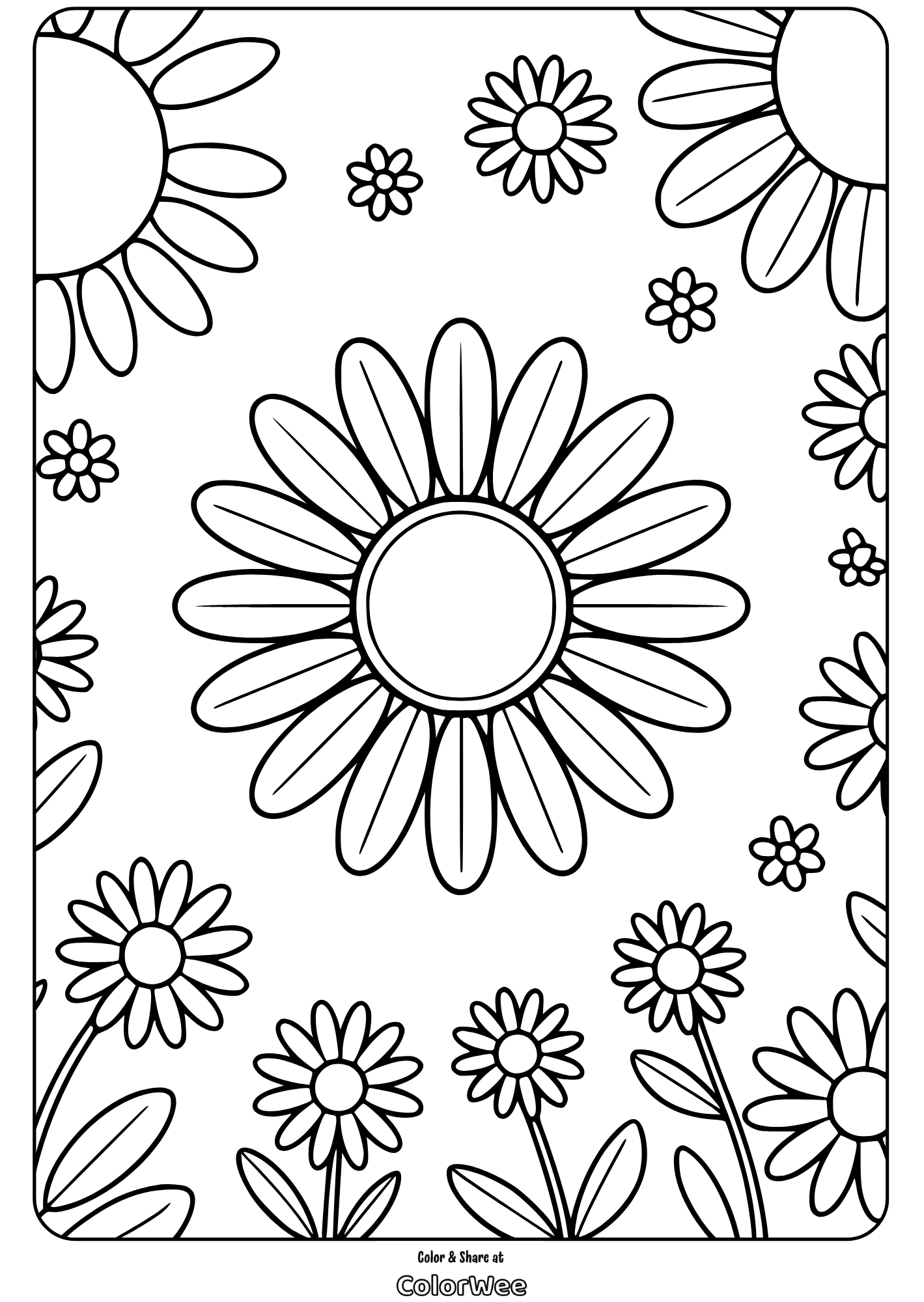 Daisy flower coloring page for kids and adults.