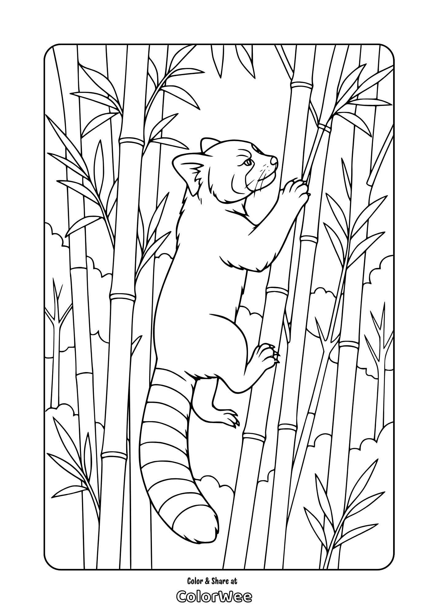 Realistic red panda climbing bamboo coloring page for kids.
