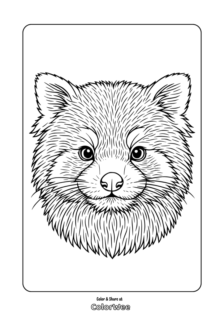 12 Realistic Red Panda Coloring Pages