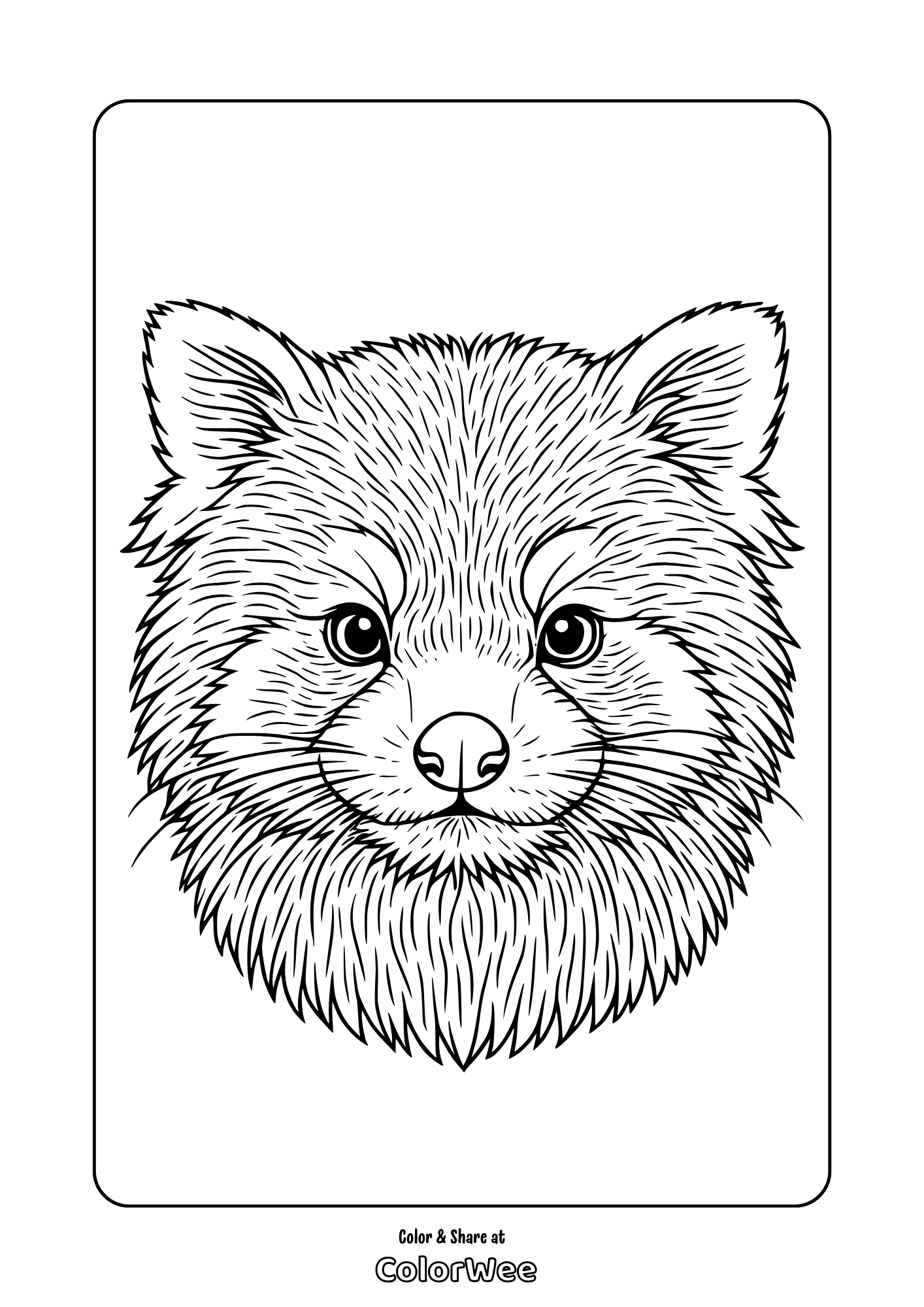 Realistic red panda face. Coloring page for kids and adults.