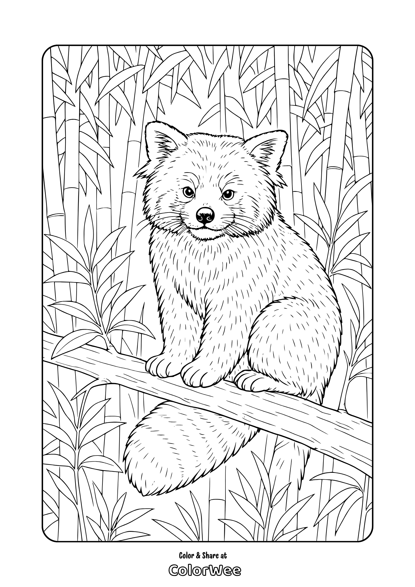 Realistic red panda on a tree branch coloring page.