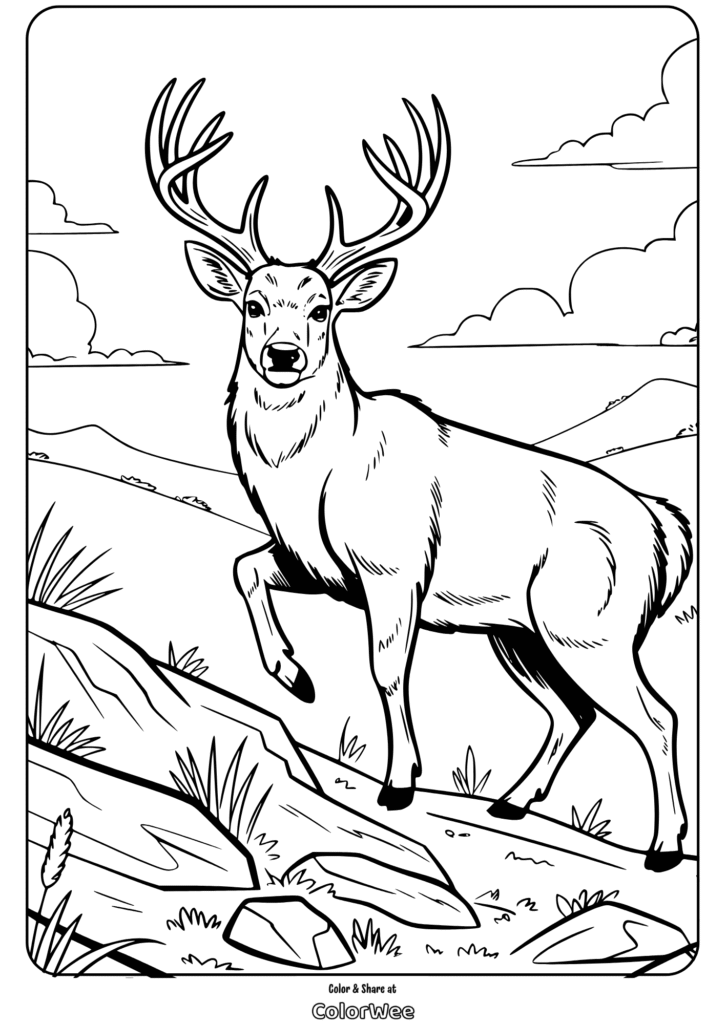 Deer coloring page with antlers, mountain scenery.
