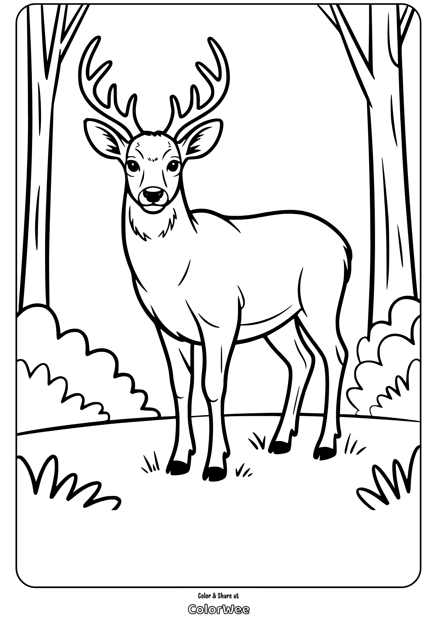 Deer in forest coloring page for kids.