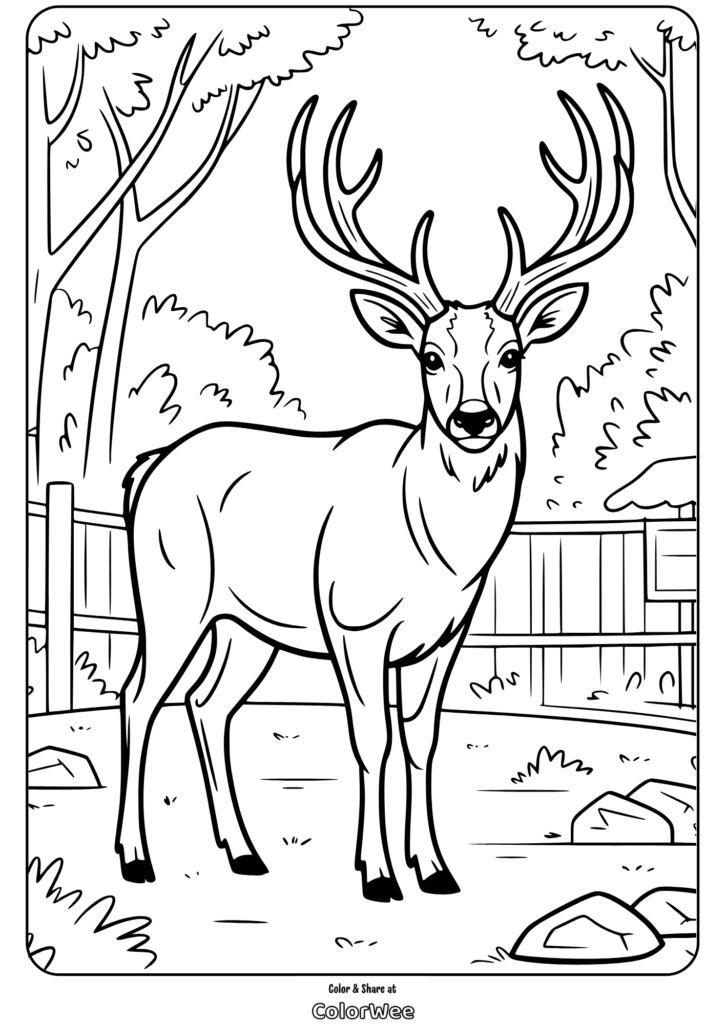 Deer with large antlers in forest coloring page for kids