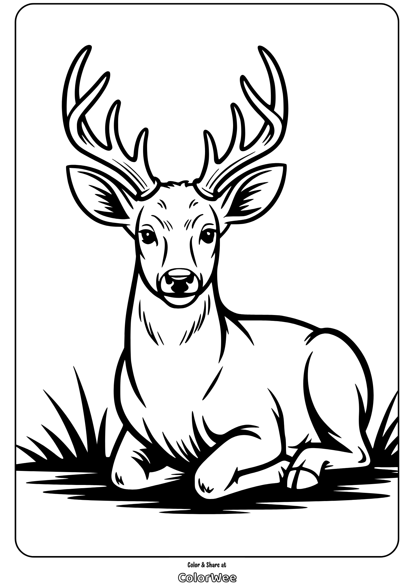 Deer Coloring Page for Kids: Majestic Stag Resting in Grass