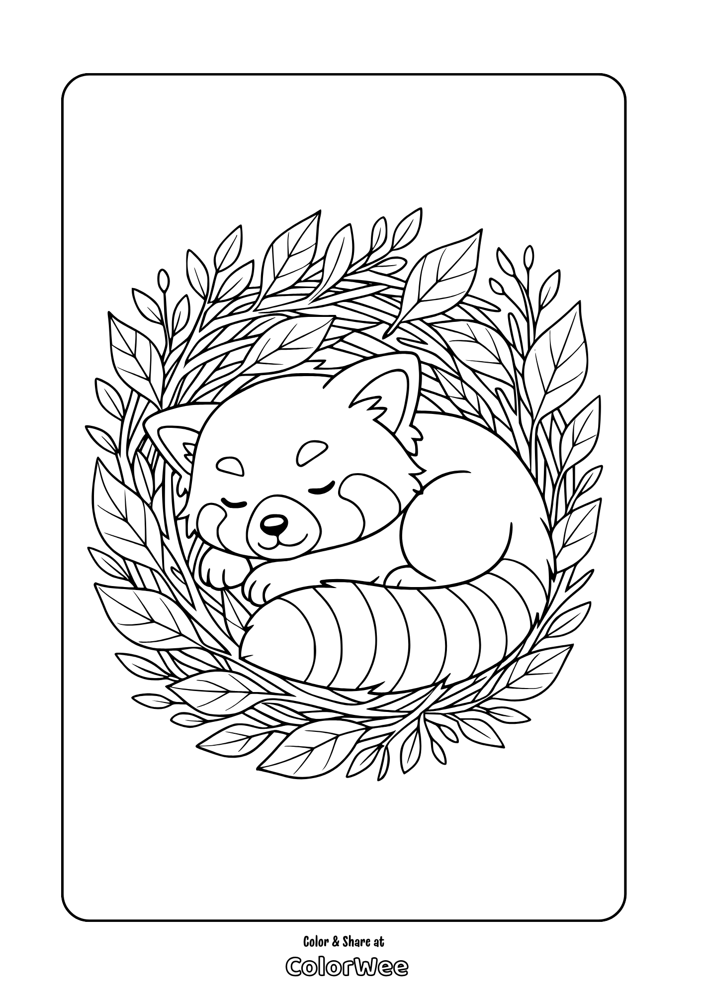 red panda sleeping coloring page Sleeping red panda coloring page with leafy background.