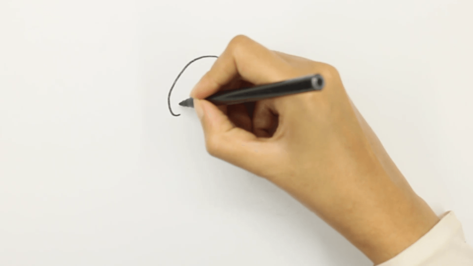 step 1 hand drawing a beginning of capybara head Step 1: Hand drawing a beginning of capybara head.