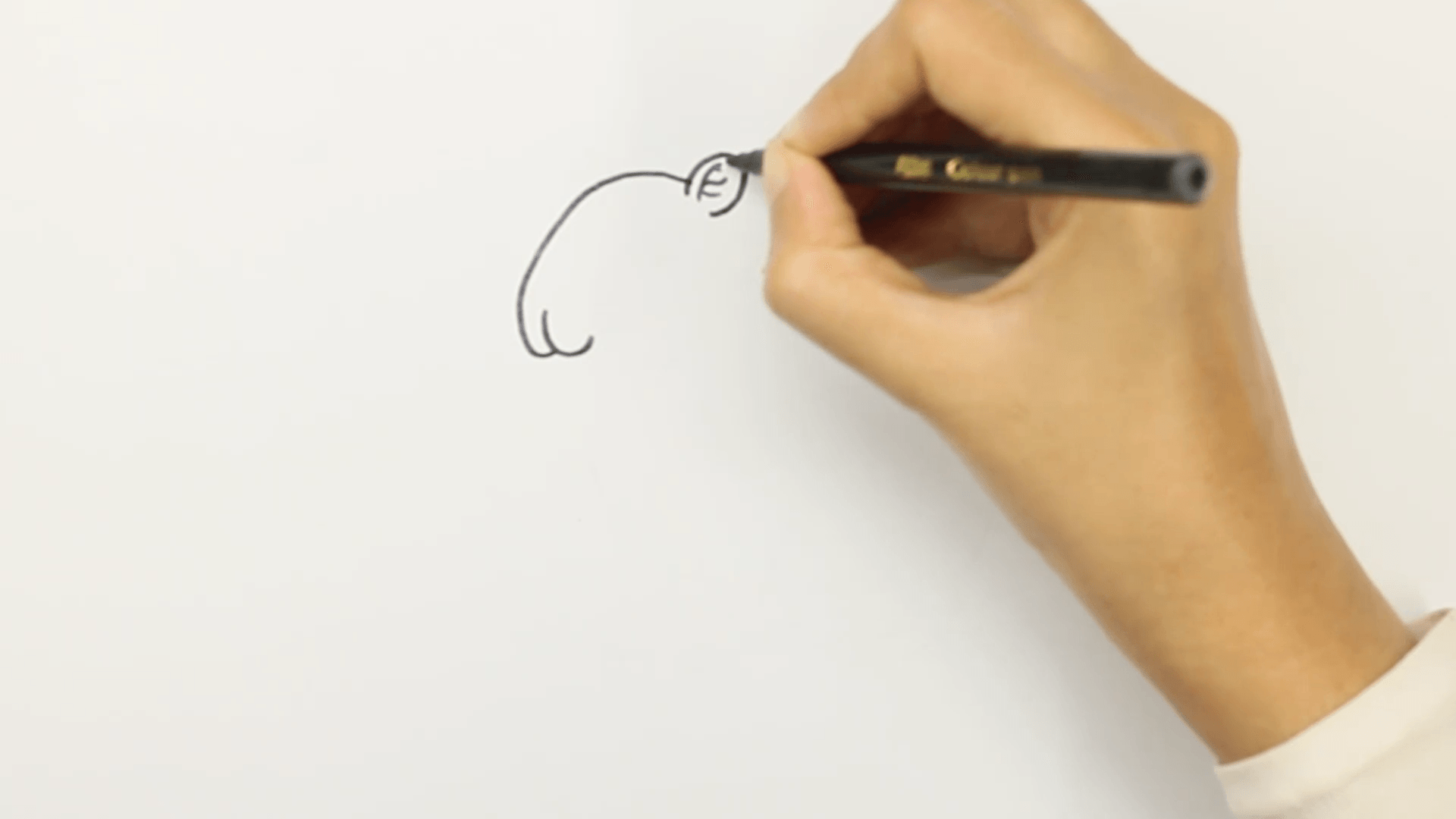 step 2 draw capybara ears Step 2: Draw capybara ears