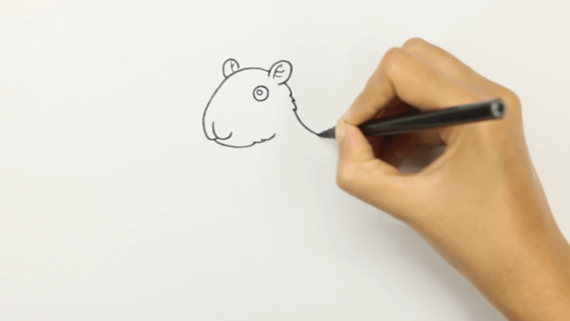 step 4 draw the body of capybara Step 4: Draw the body of capybara.