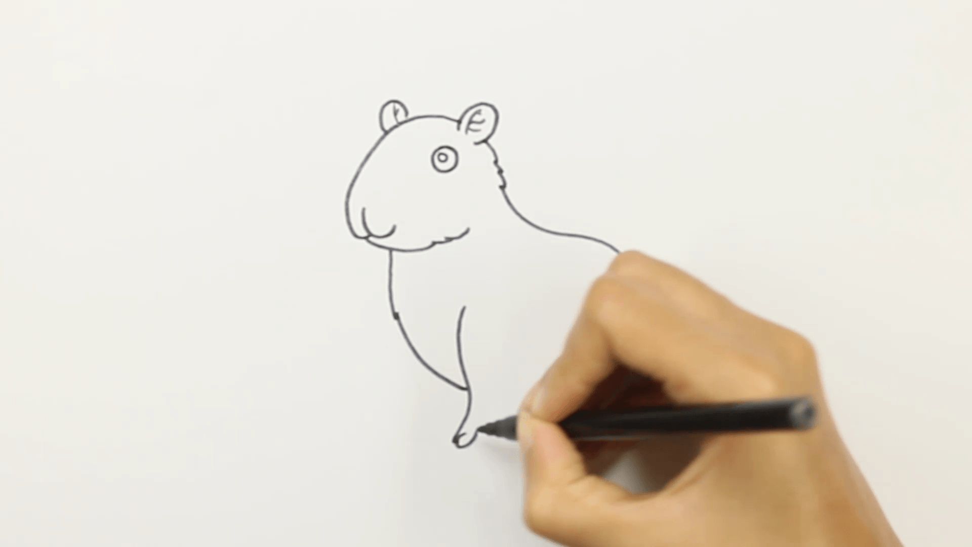 step 5 drawing a cute capybara legs Step 5: Drawing a cute capybara legs.