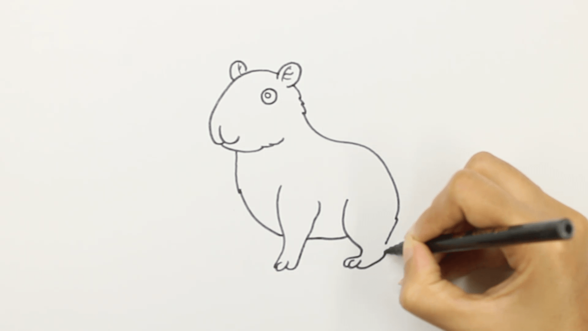 step 7 draw back legs of cute capybara Step 7: Draw back legs of cute capybara