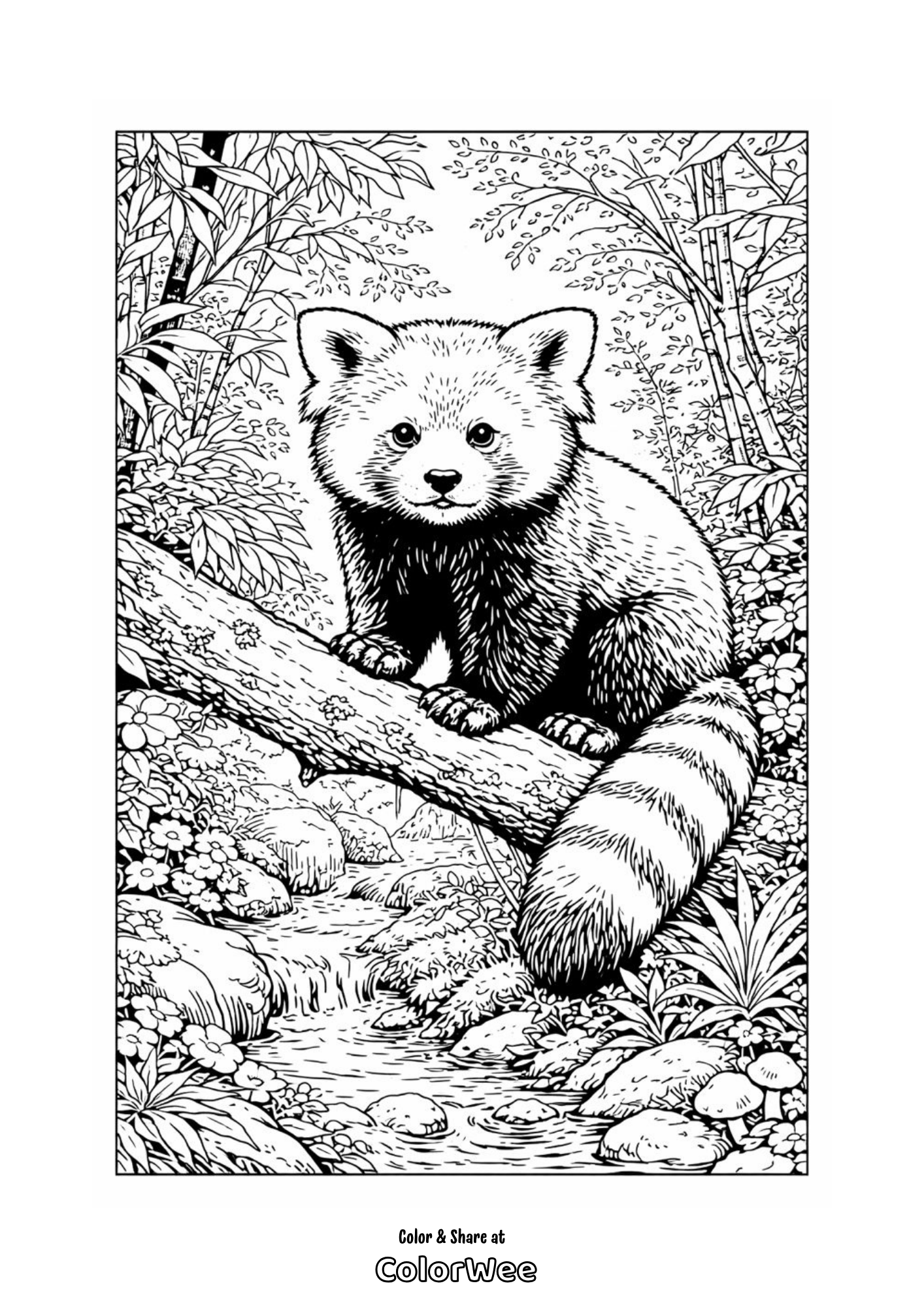 Very realistic red panda on tree branch coloring page.
