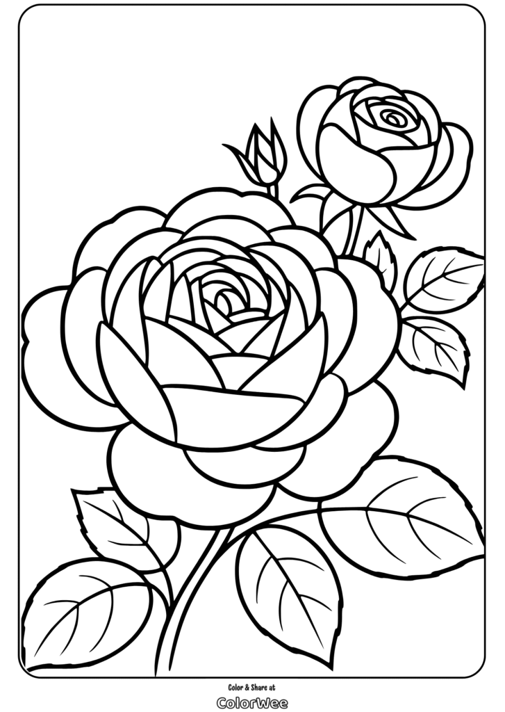 Line art of blooming roses for coloring page.