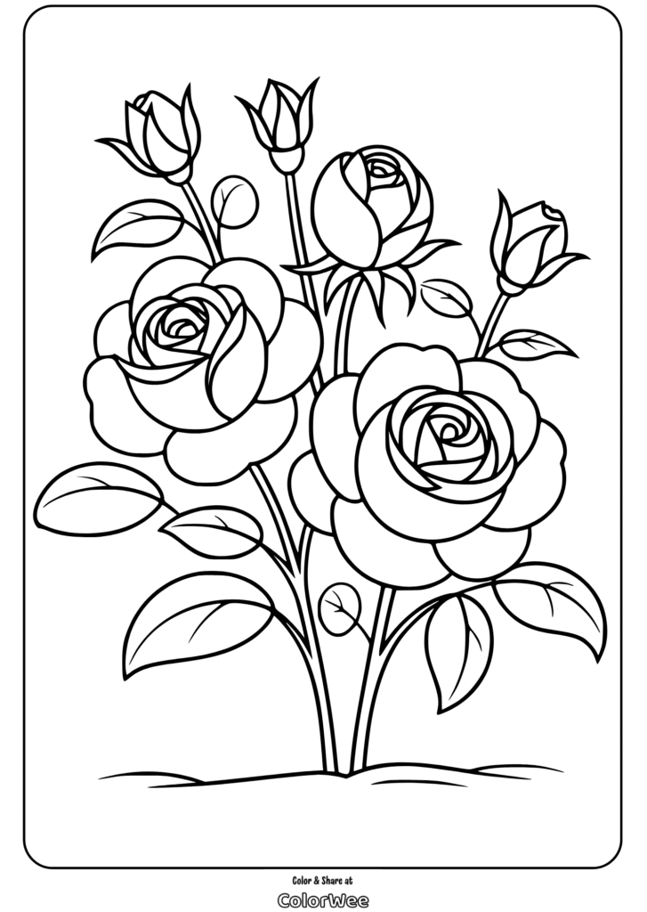 Roses coloring page with buds and leaves for kids and adults.