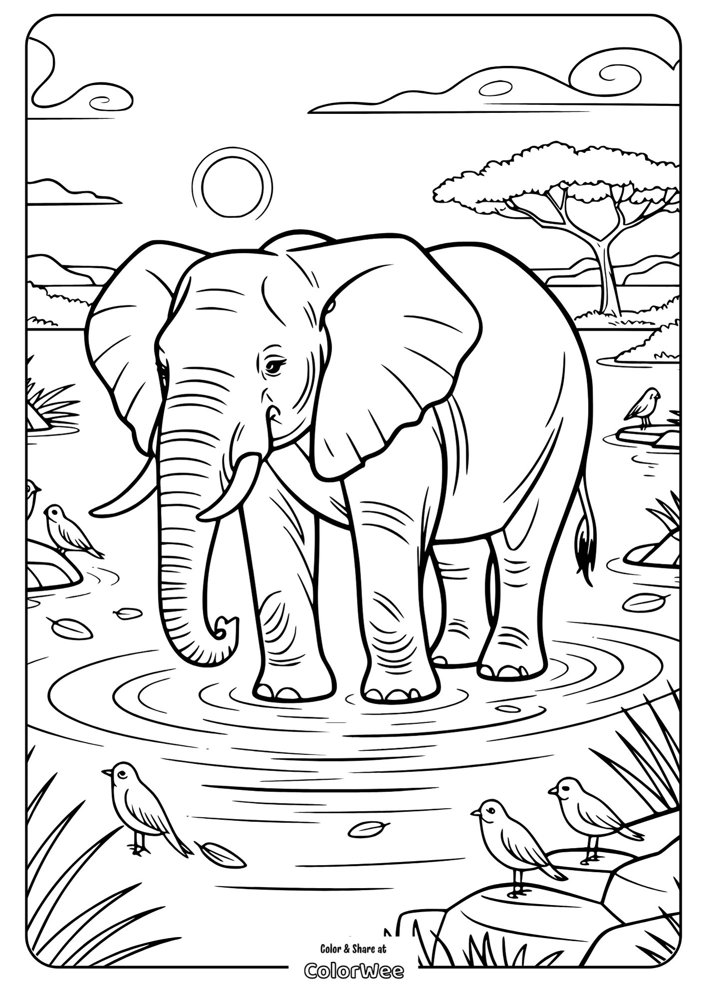 Elephant coloring page with birds in a nature scene.