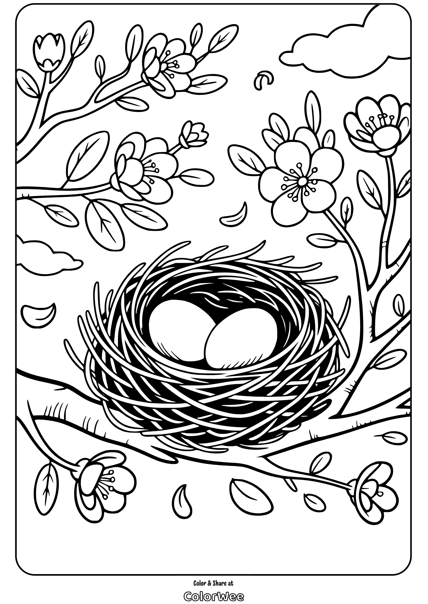 Bird nest with eggs on a blossoming branch coloring page.
