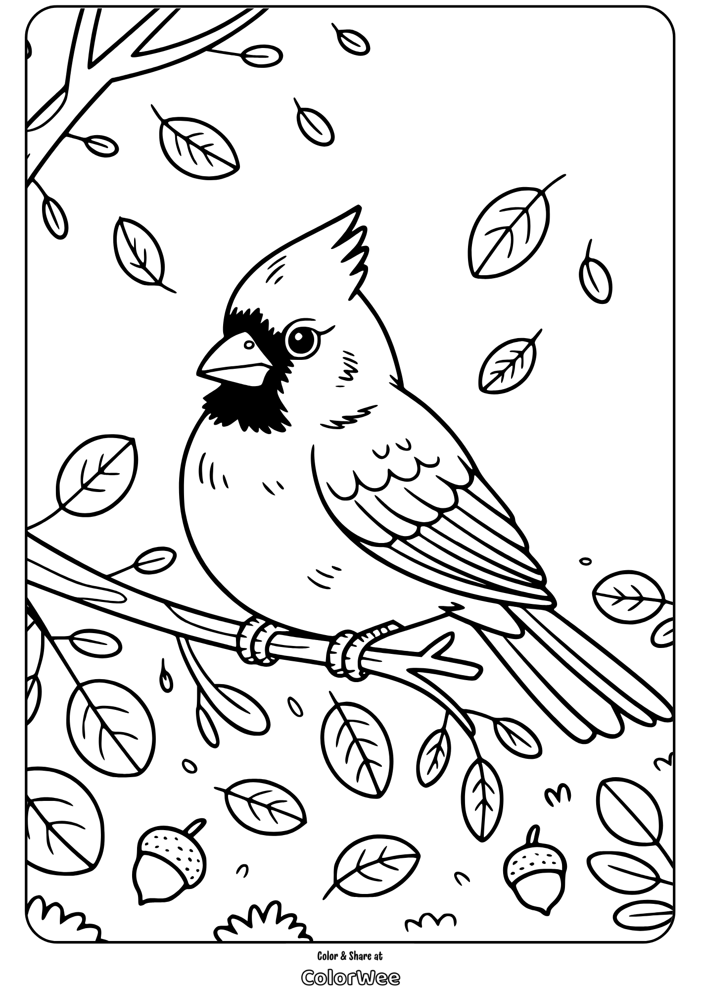 Coloring page of a cardinal bird on a branch with falling leaves.