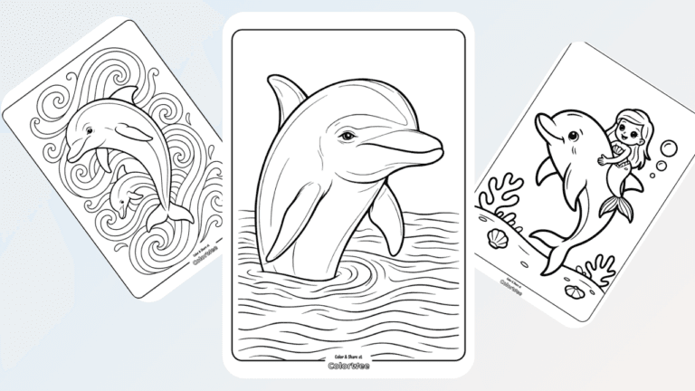 Dolphin coloring pages