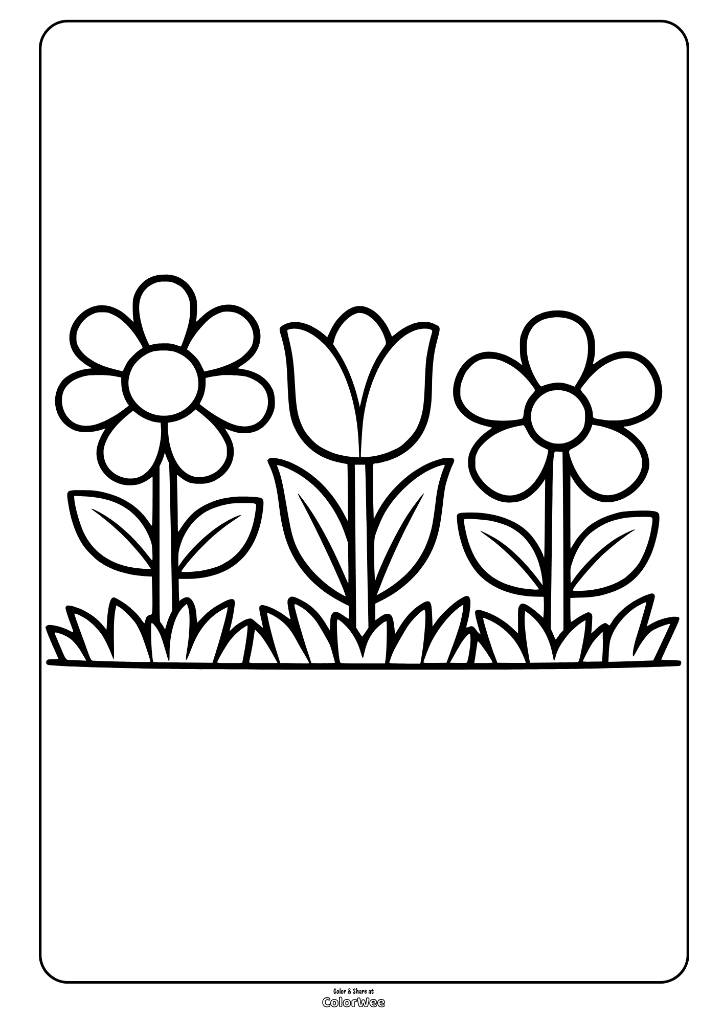 Spring flowers coloring page with tulip and two daisies in a garden