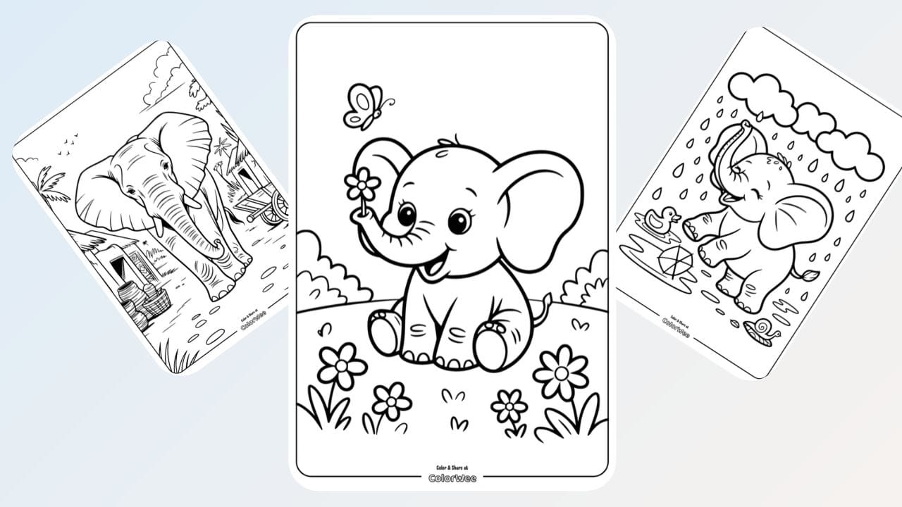Elephant coloring pages collection. Choose your free printable