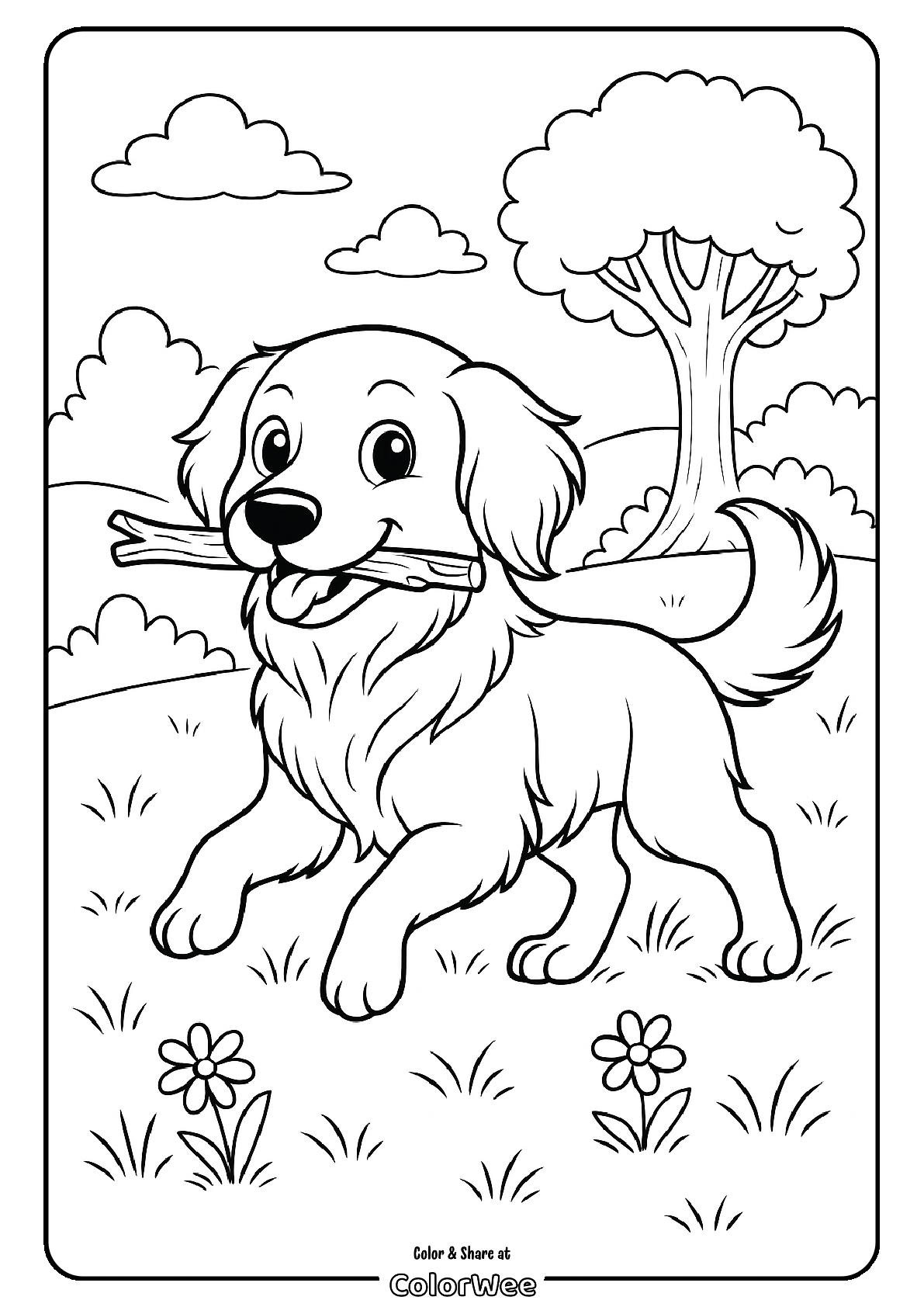 Happy  golden retriever dog playing with stick in a field, coloring page for kids.