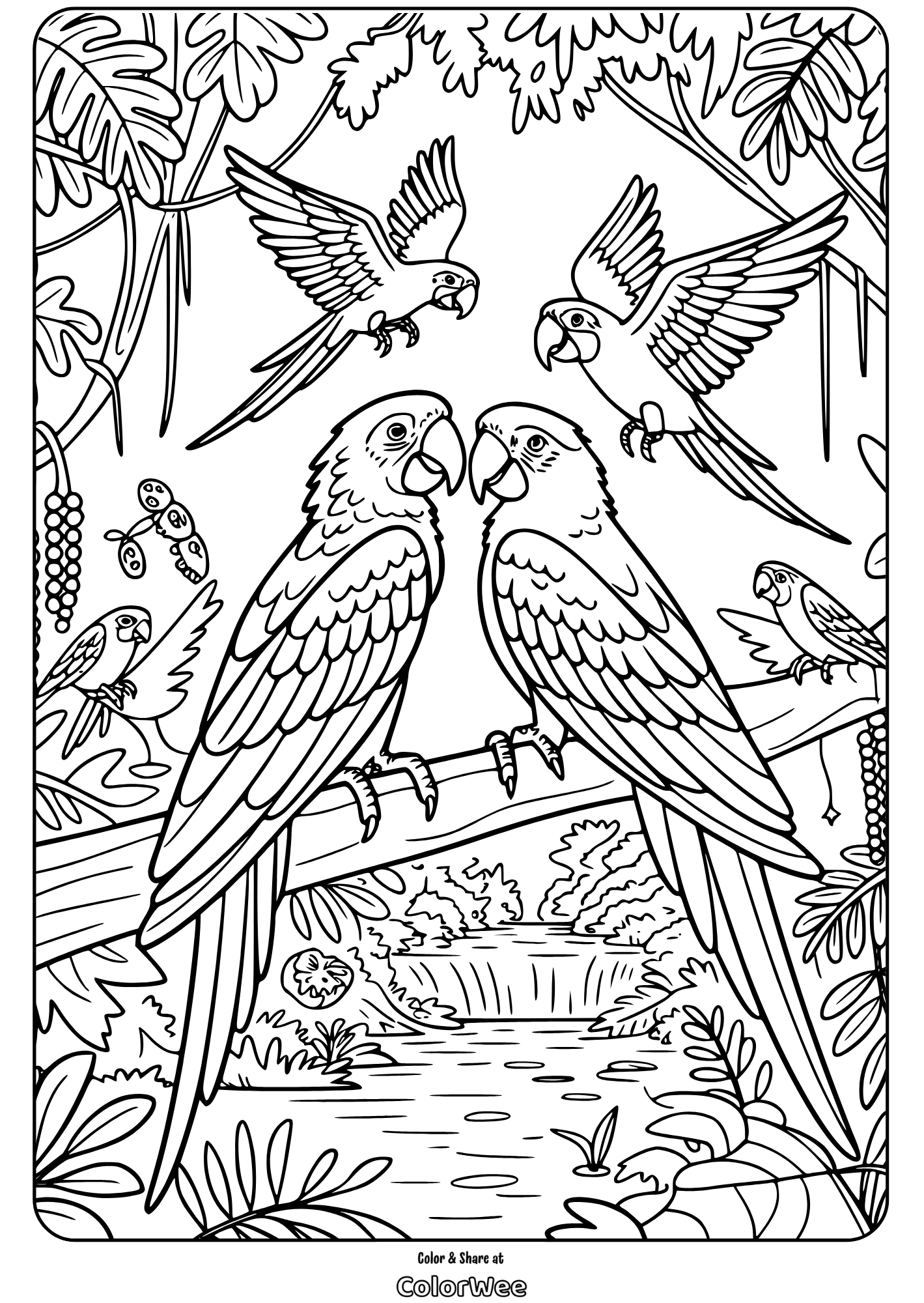 Parrot birds coloring page with tropical background creek