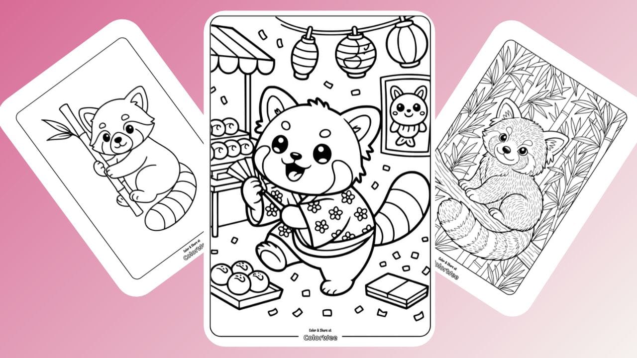 Red panda coloring pages colection. Many different designs
