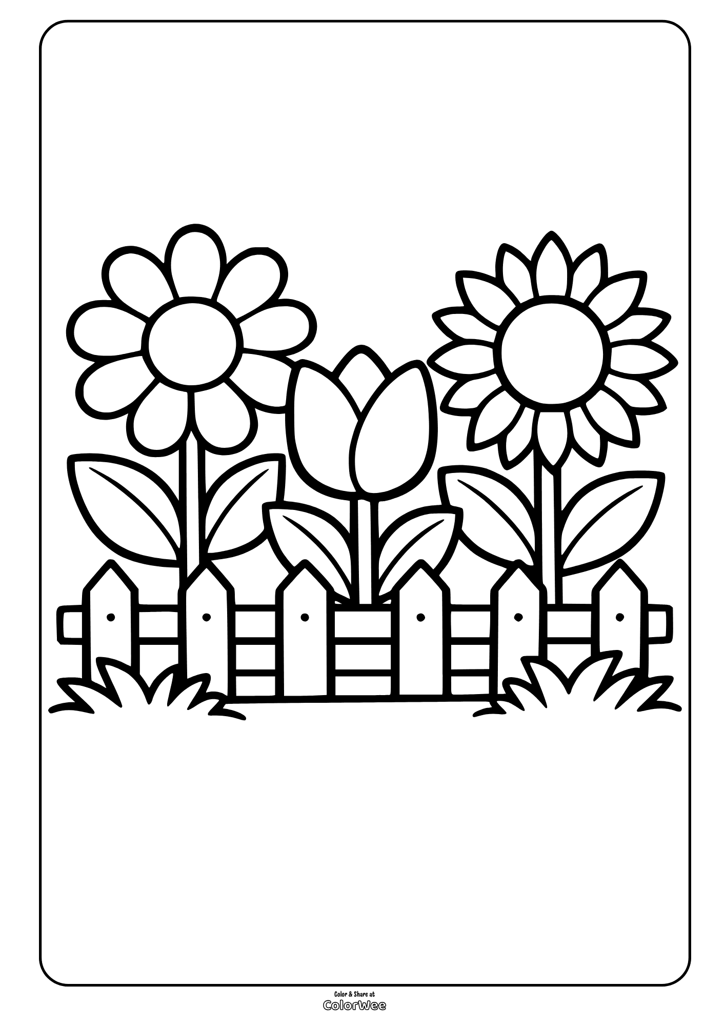 Flower garden coloring page with sunflowers and tulip by picket fence